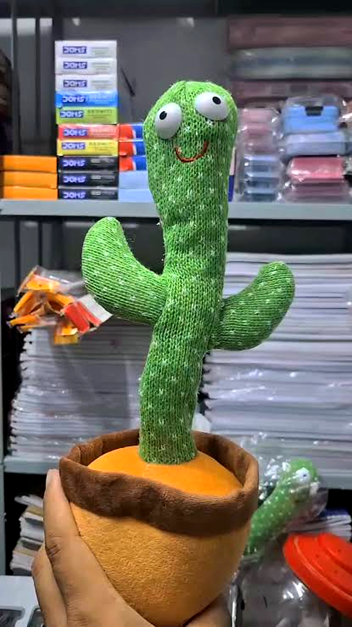 Dancing cactus 🌵